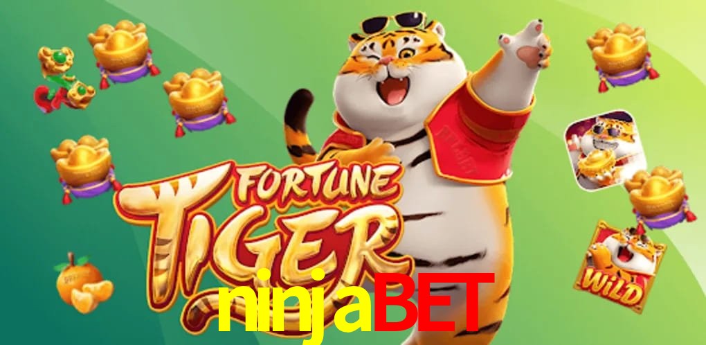 Security Systems ninjabet